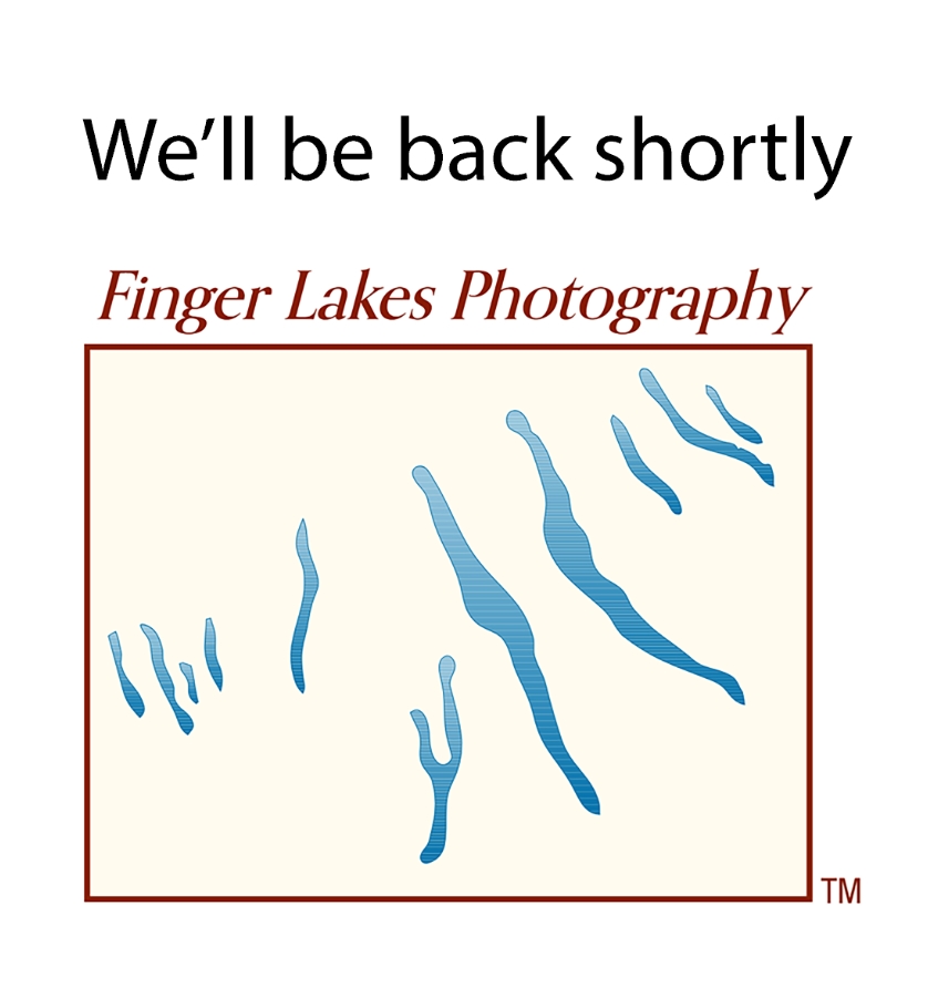 We'll be back shortly. Finger Lakes Photography 